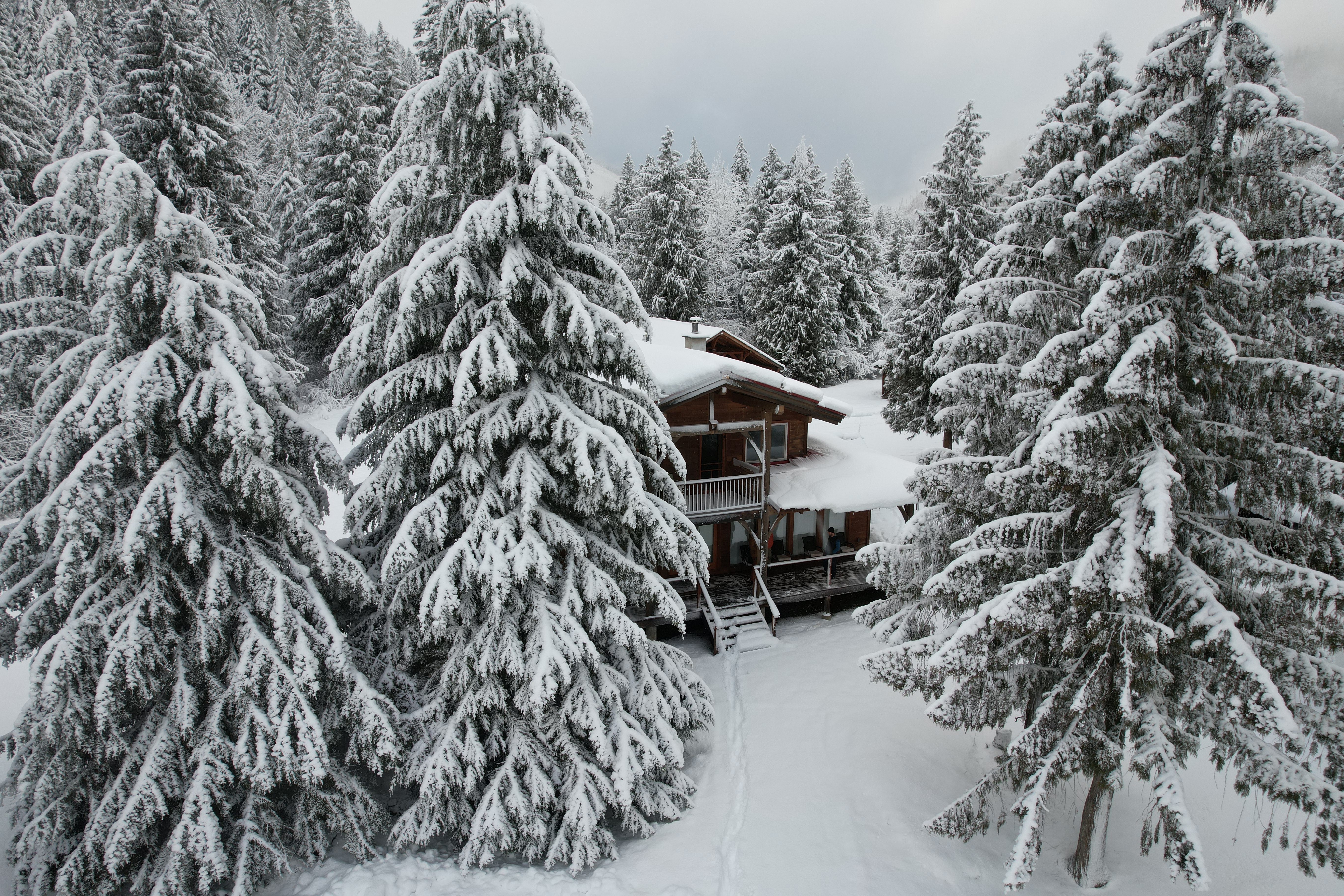 Wild Bear Lodge