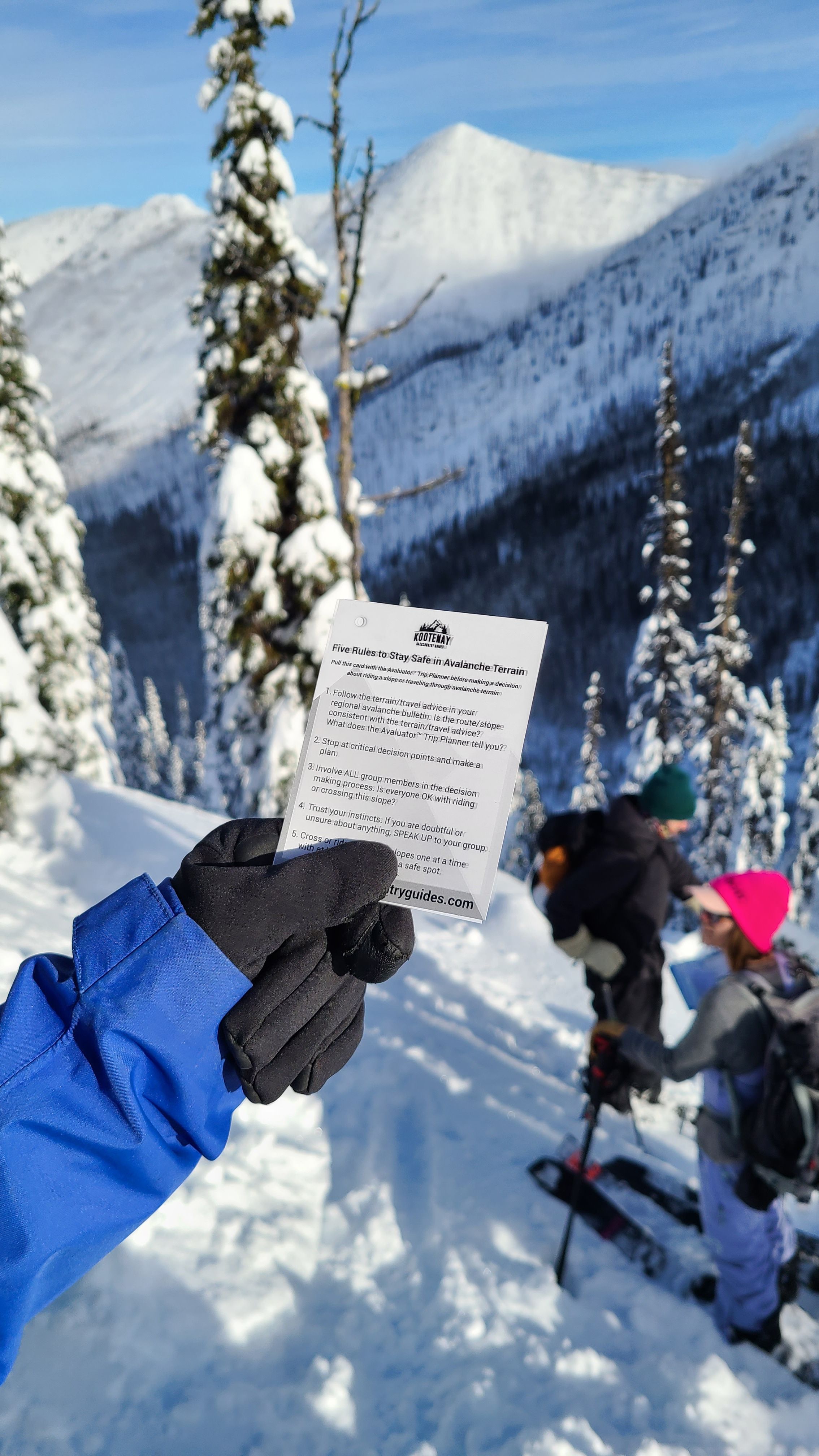 Ski touring group traveling through avalanche terrain, Kootenay Pass